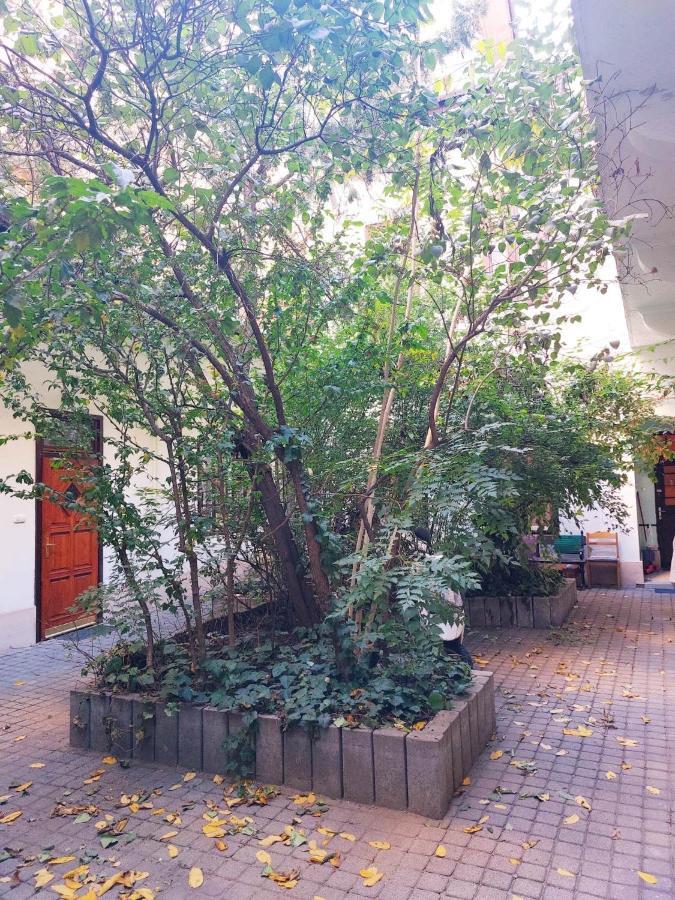 Happy Apartment In The Heart Of Budapest With 2 Rooms ภายนอก รูปภาพ